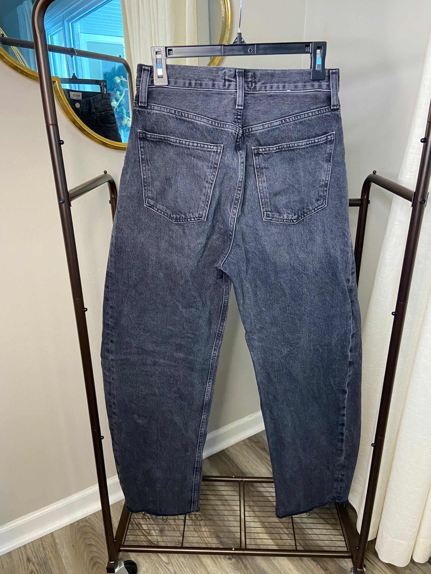 Agolde Luna Barrell Leg Jeans size 27
