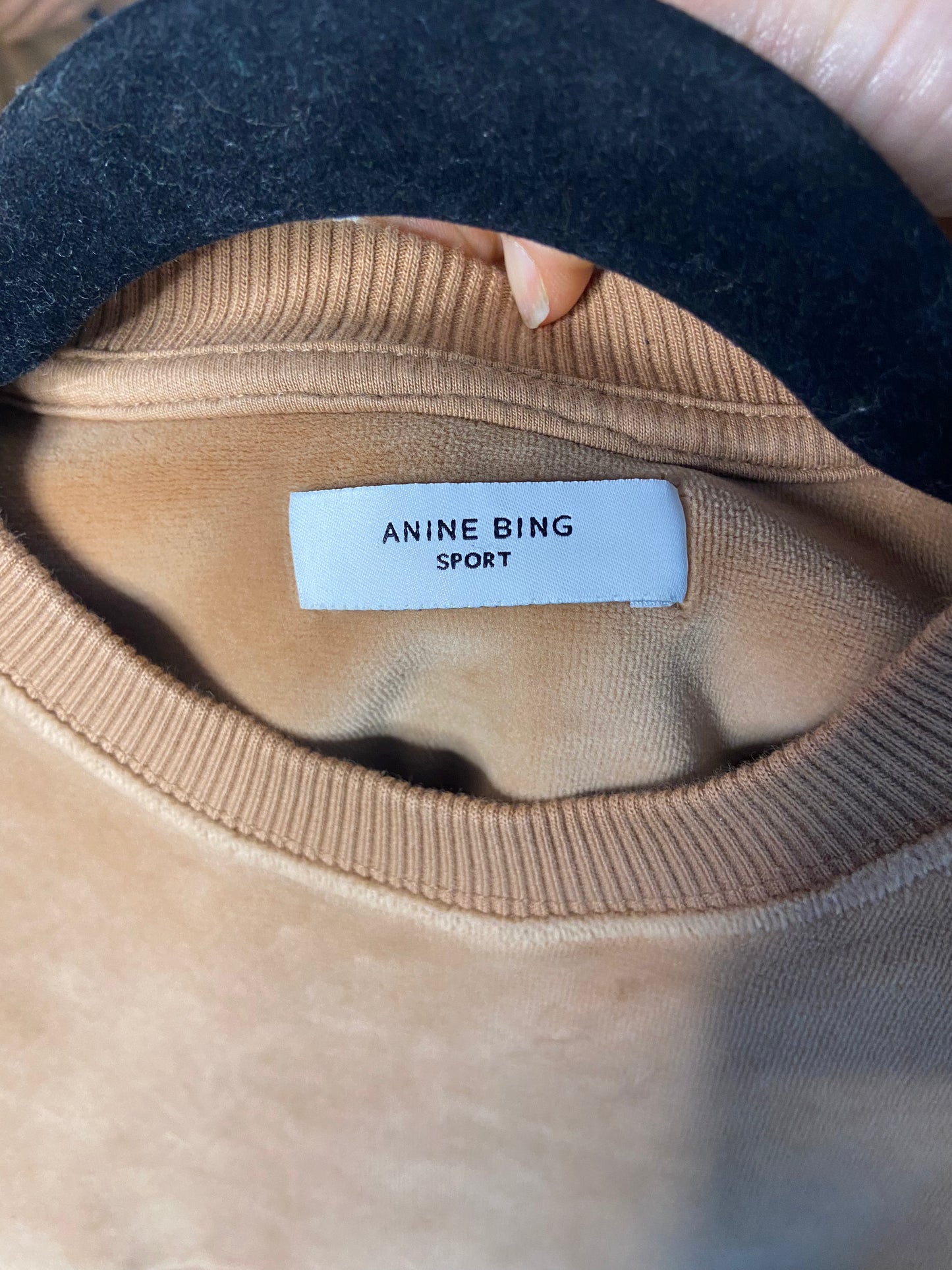 Anine Bing Evan Velour Sweatshirt in Taupe size S