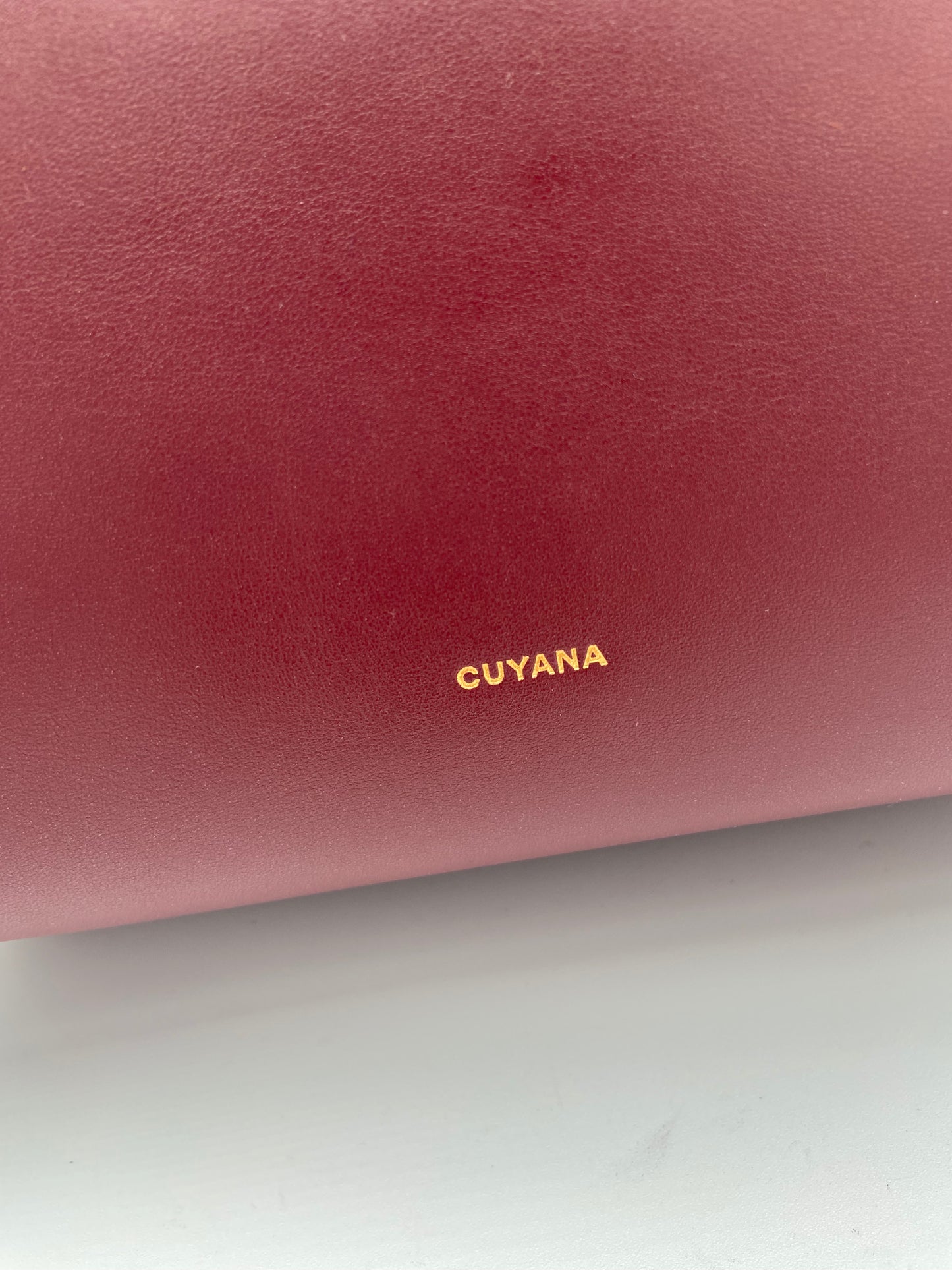 Cuyana Oversized Linea Tote Bag