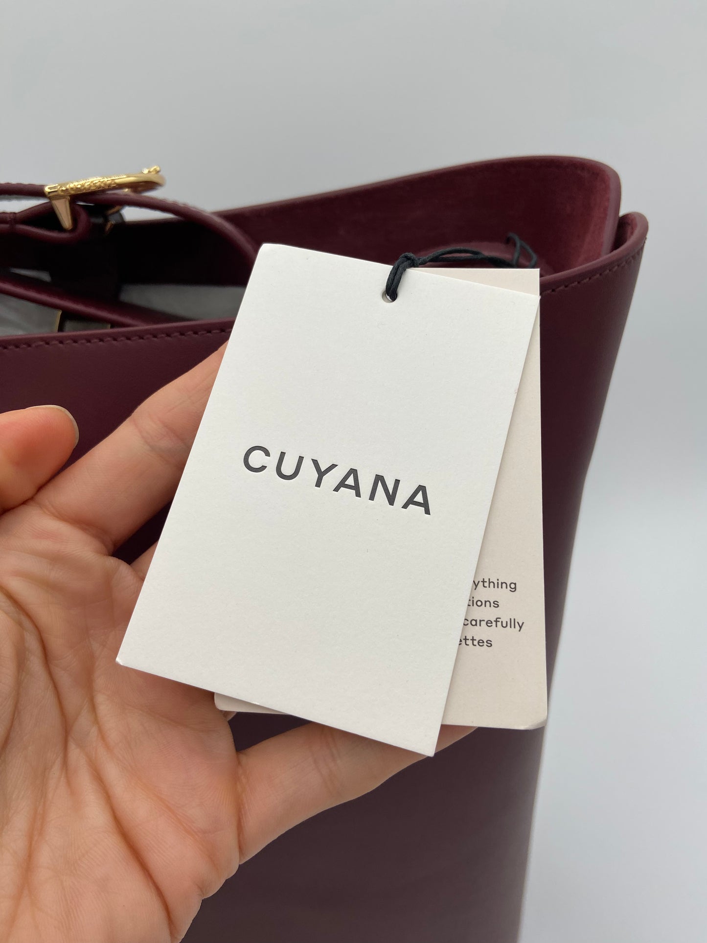 Cuyana Oversized Linea Tote Bag