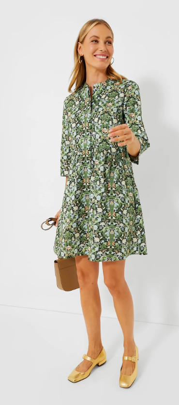 Tuckernuck Royal Shirtdress size M