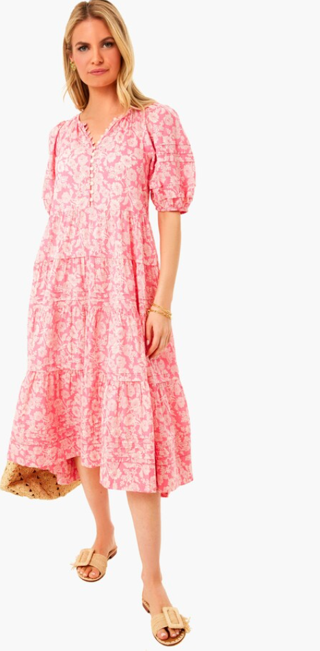 The Great The Pleated Ravine Dress Bright Rouge Wild Brush Floral size S