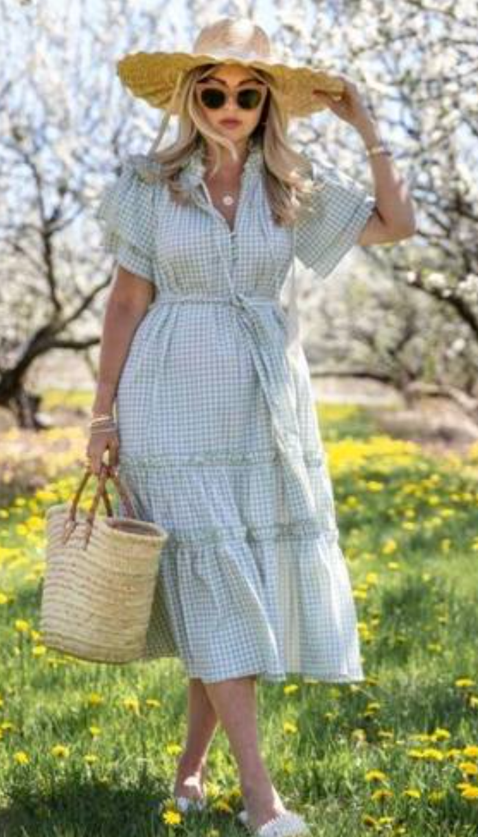 Hunter Bell Gingham Matthews Midi Dress size L