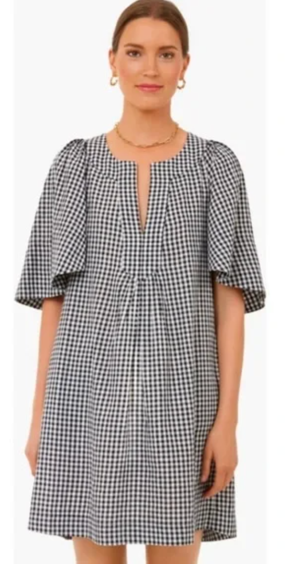 Pomander Place Gingham Finley Mini Dress size XS