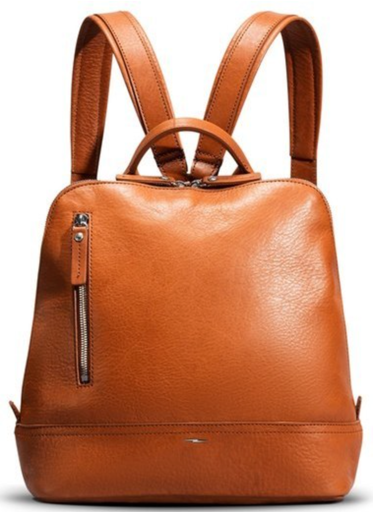 Shinola Mini Zip Backpack