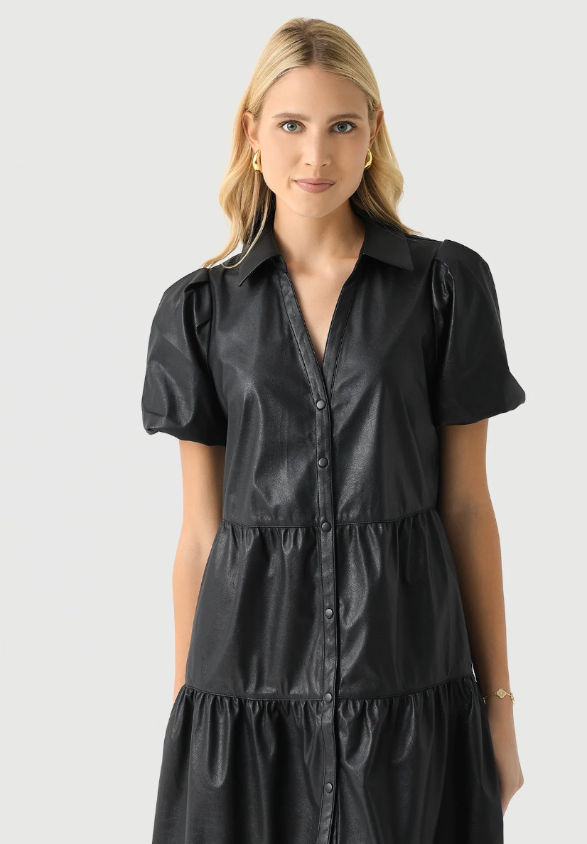 Brochu Walker The Havana Vegan Leather Dress size XS