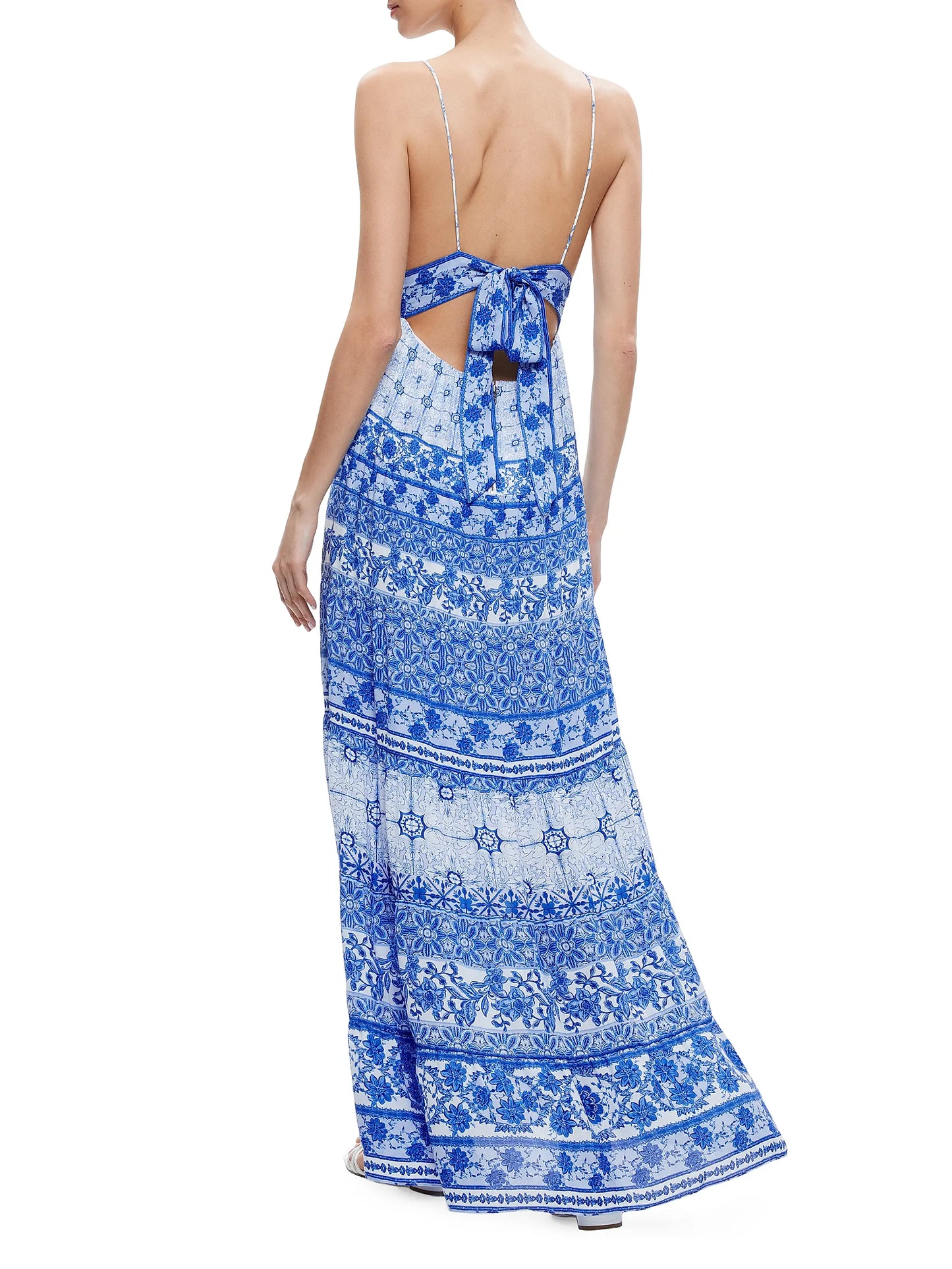 Alice and Olivia Karolina Chiffon Floral Maxi Dress In Blue size 4