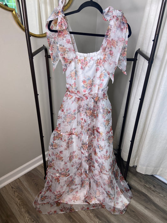 Sue Sartor Annabelle Silk Organza Dress size M