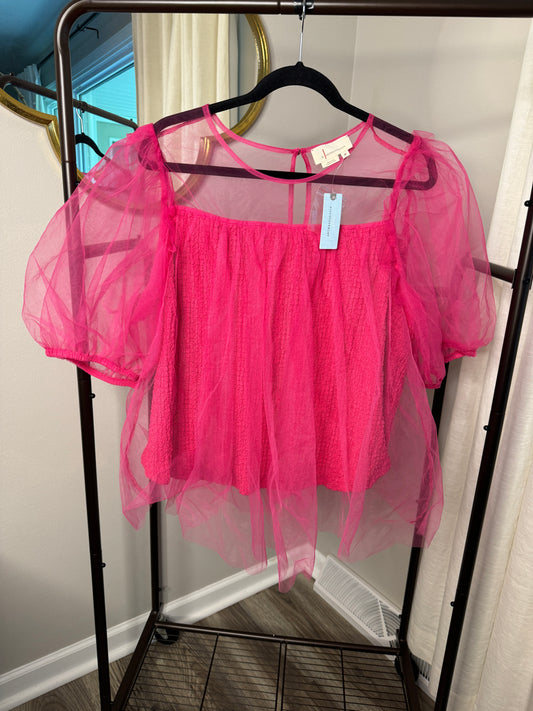 Anthropologie Sheer Puff-Sleeve Top size 2X