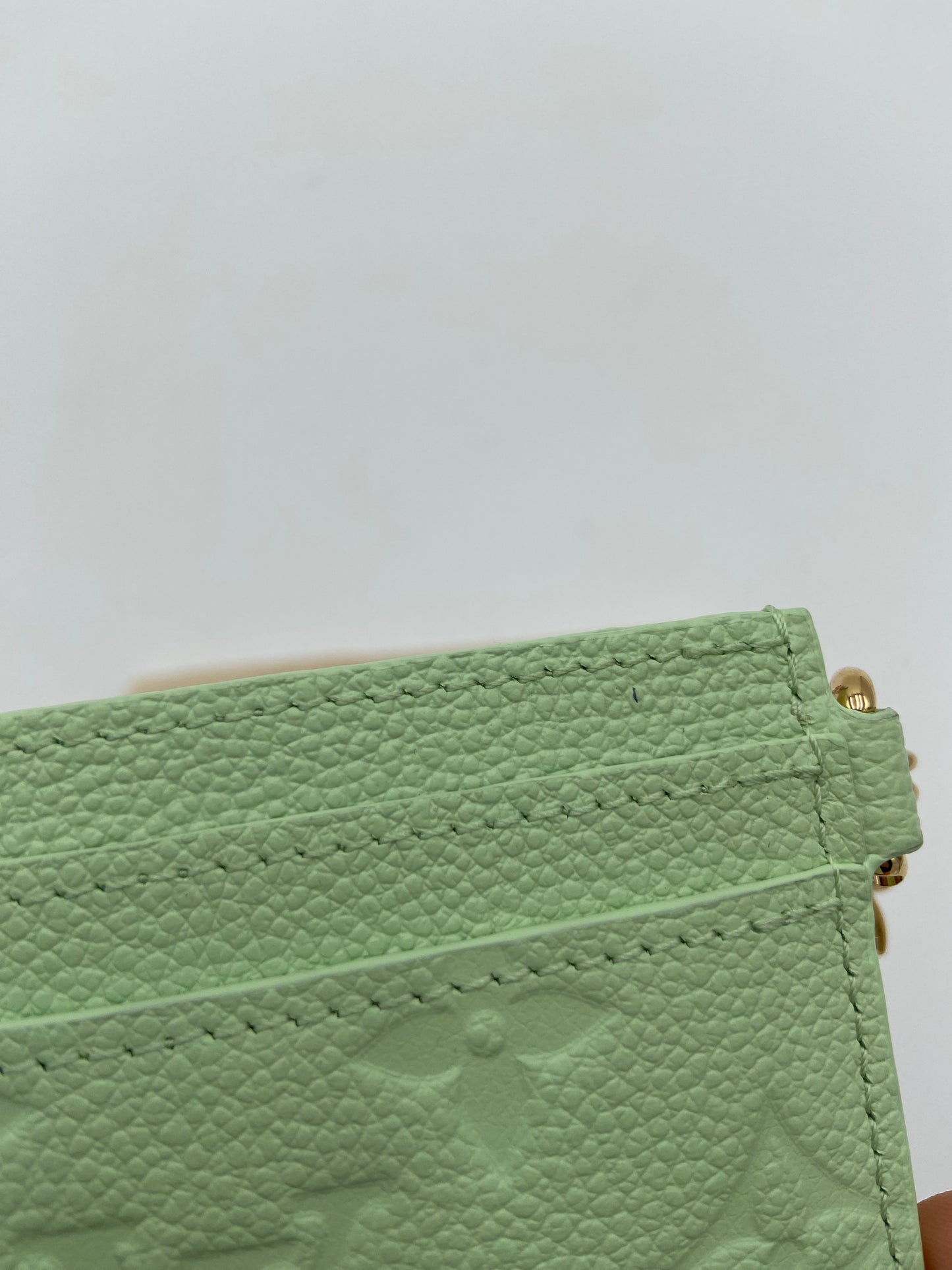 Louis Vuitton Charms Card Holder in Spring Green