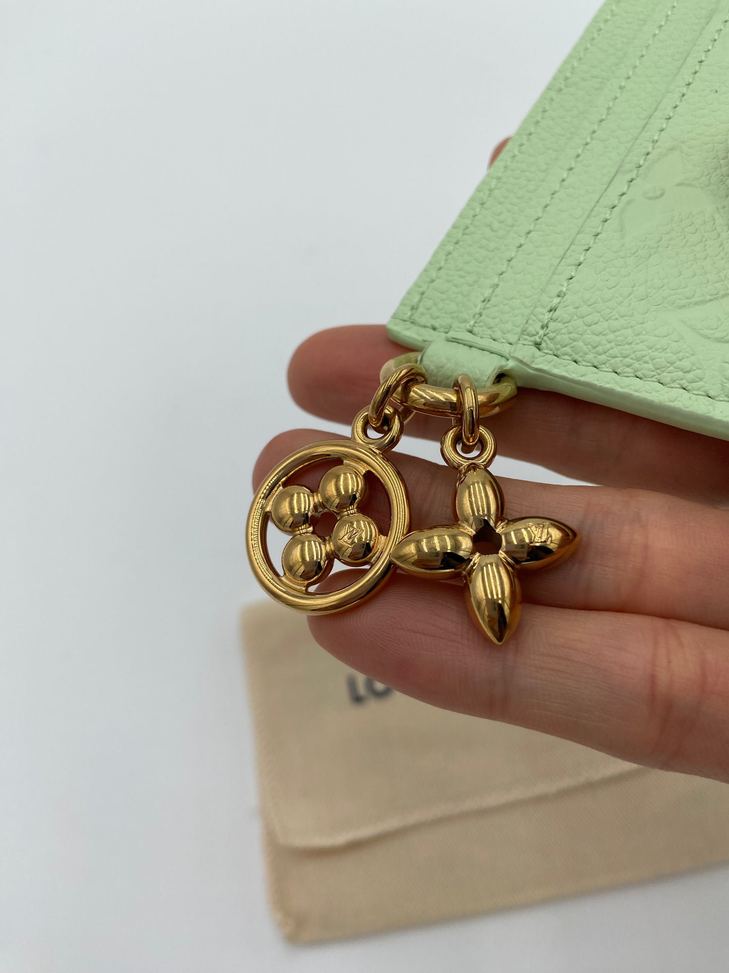 Louis Vuitton Charms Card Holder in Spring Green