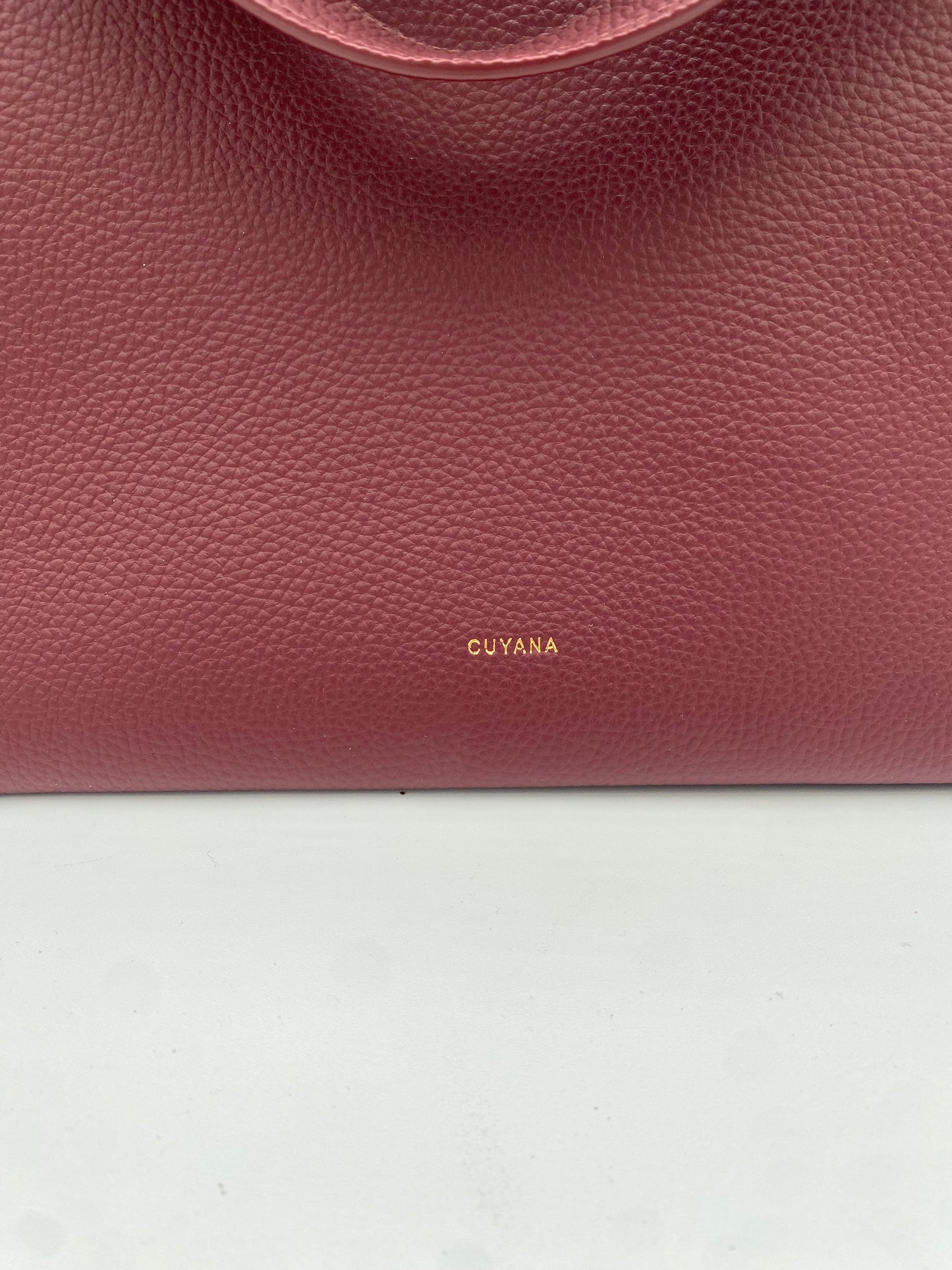 Cuyana Mila Satchel in Burgundy