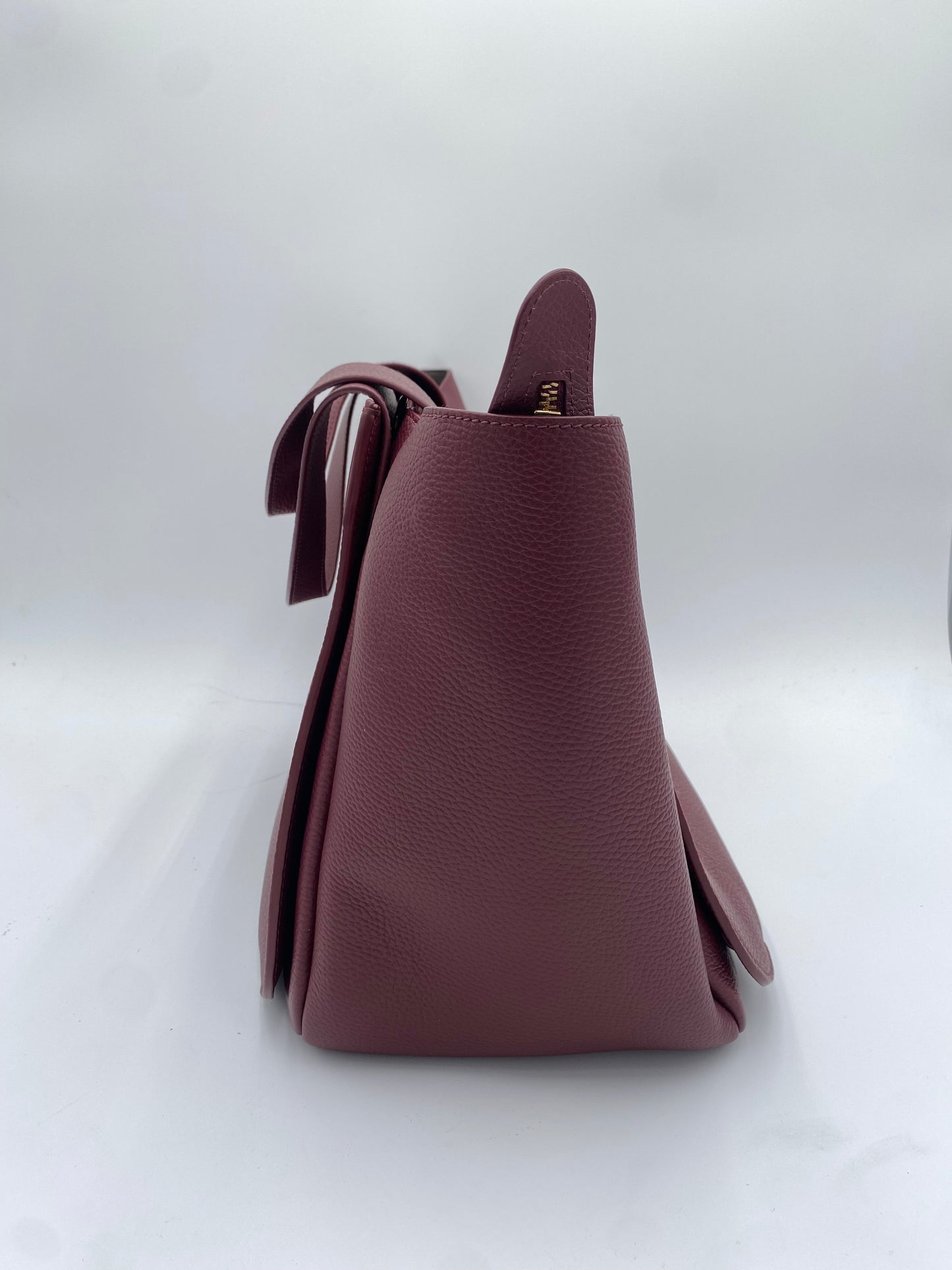 Cuyana Mila Satchel in Burgundy