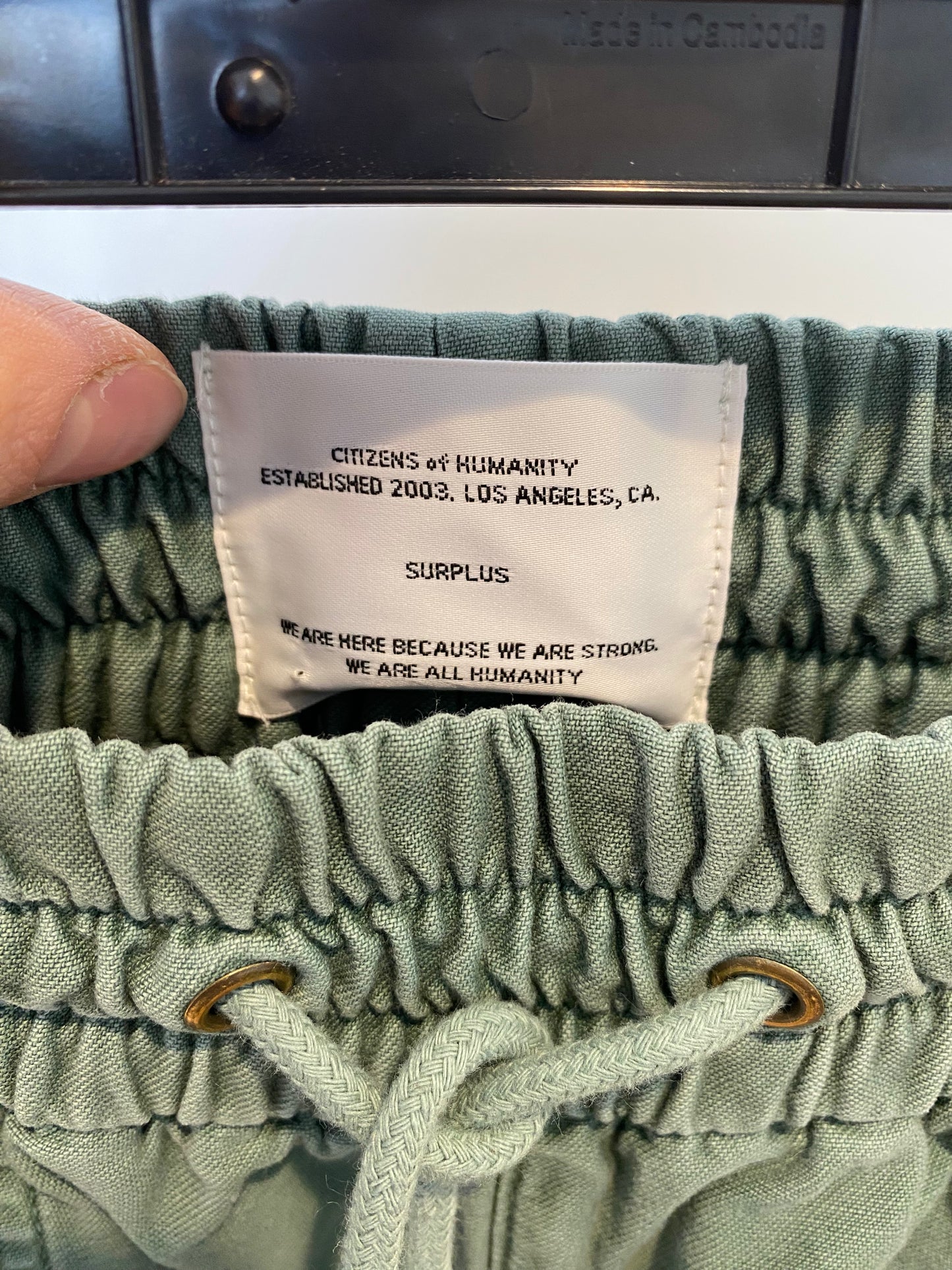 Citizens of Humanity Ameline Utility Joggers in Sage size 29