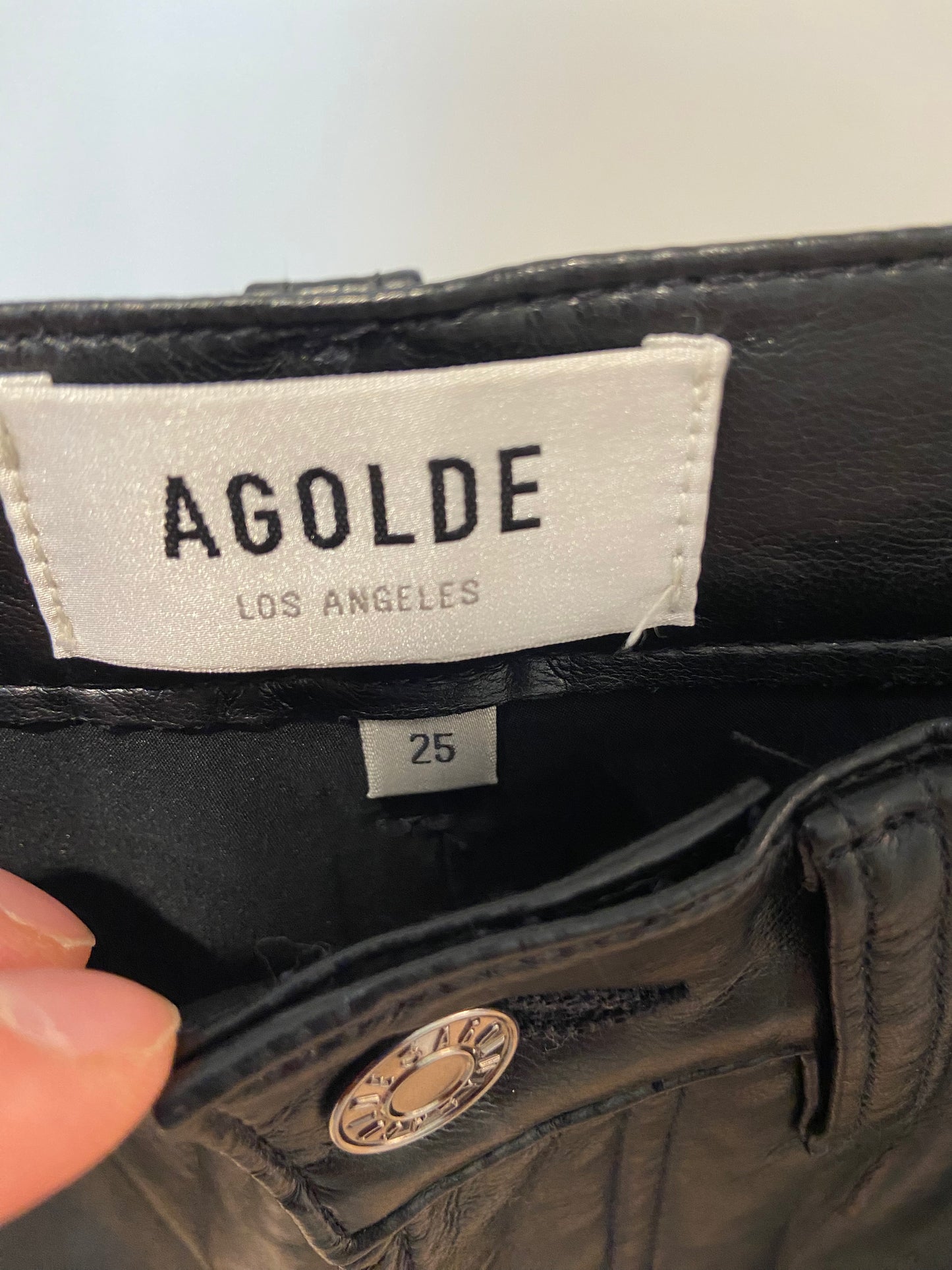 Agolde 90s Pinched Waist Recycled Leather Pants size 25