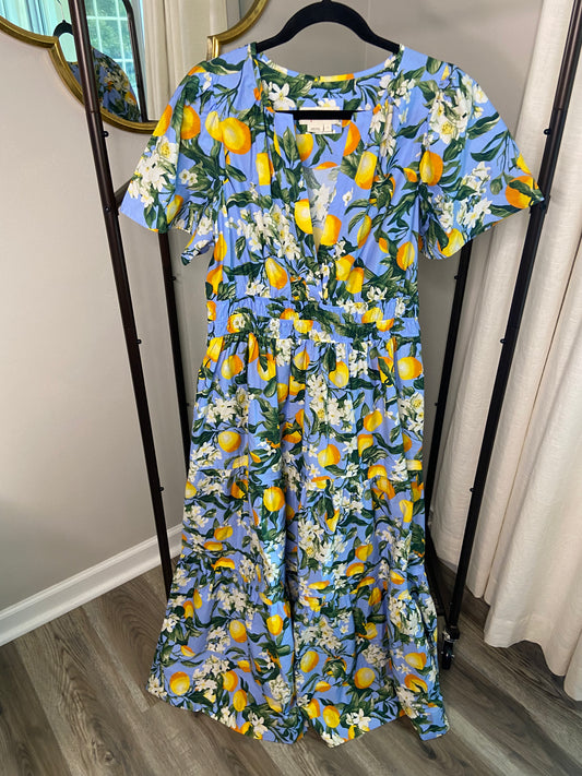 Anthropologie Somerset Maxi Dress size L