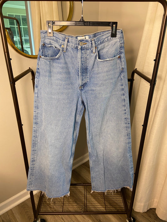 Agolde Dame Wide Leg Jeans size 26