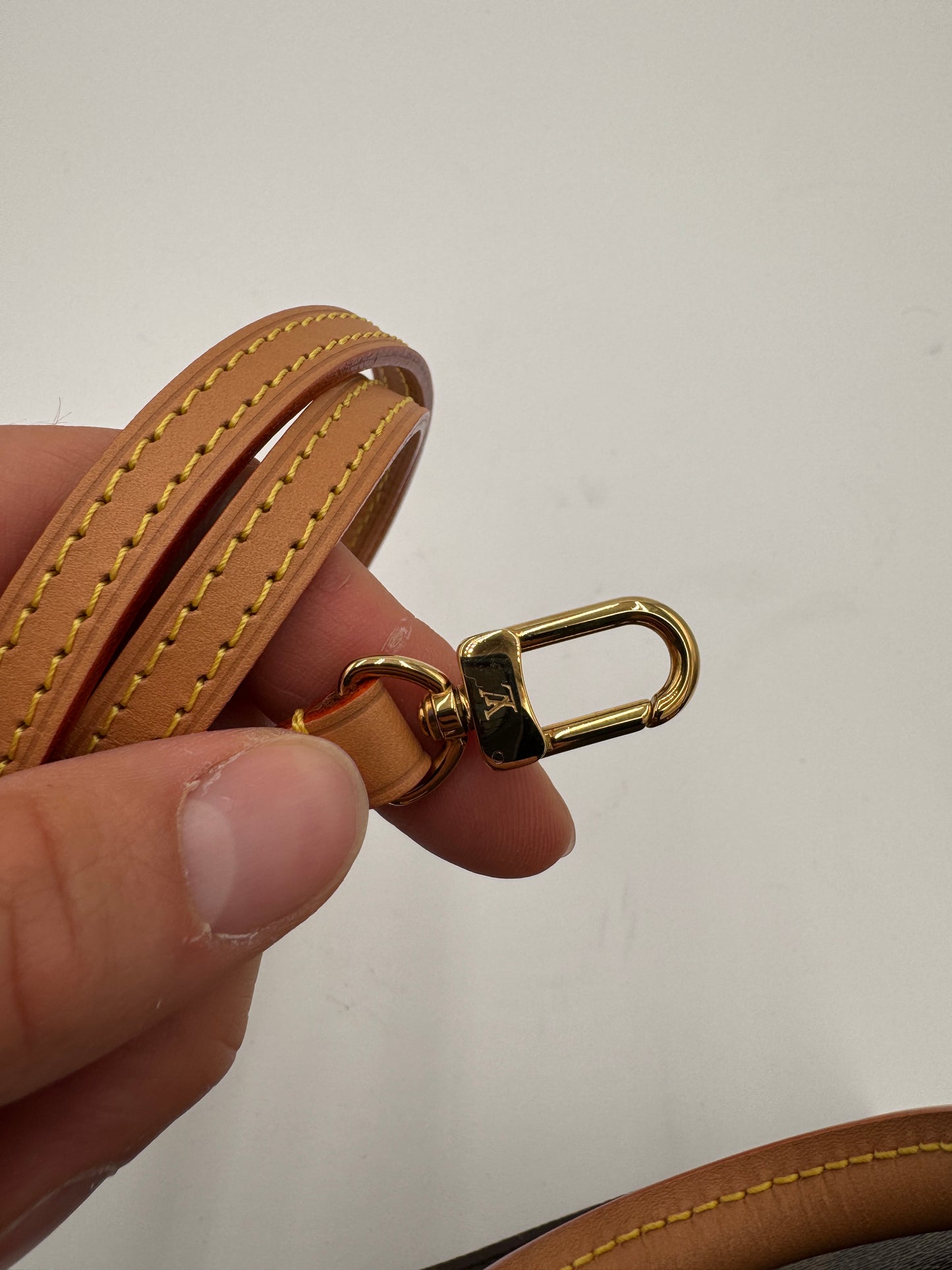 Louis Vuitton Monogram Petit Sac Plat