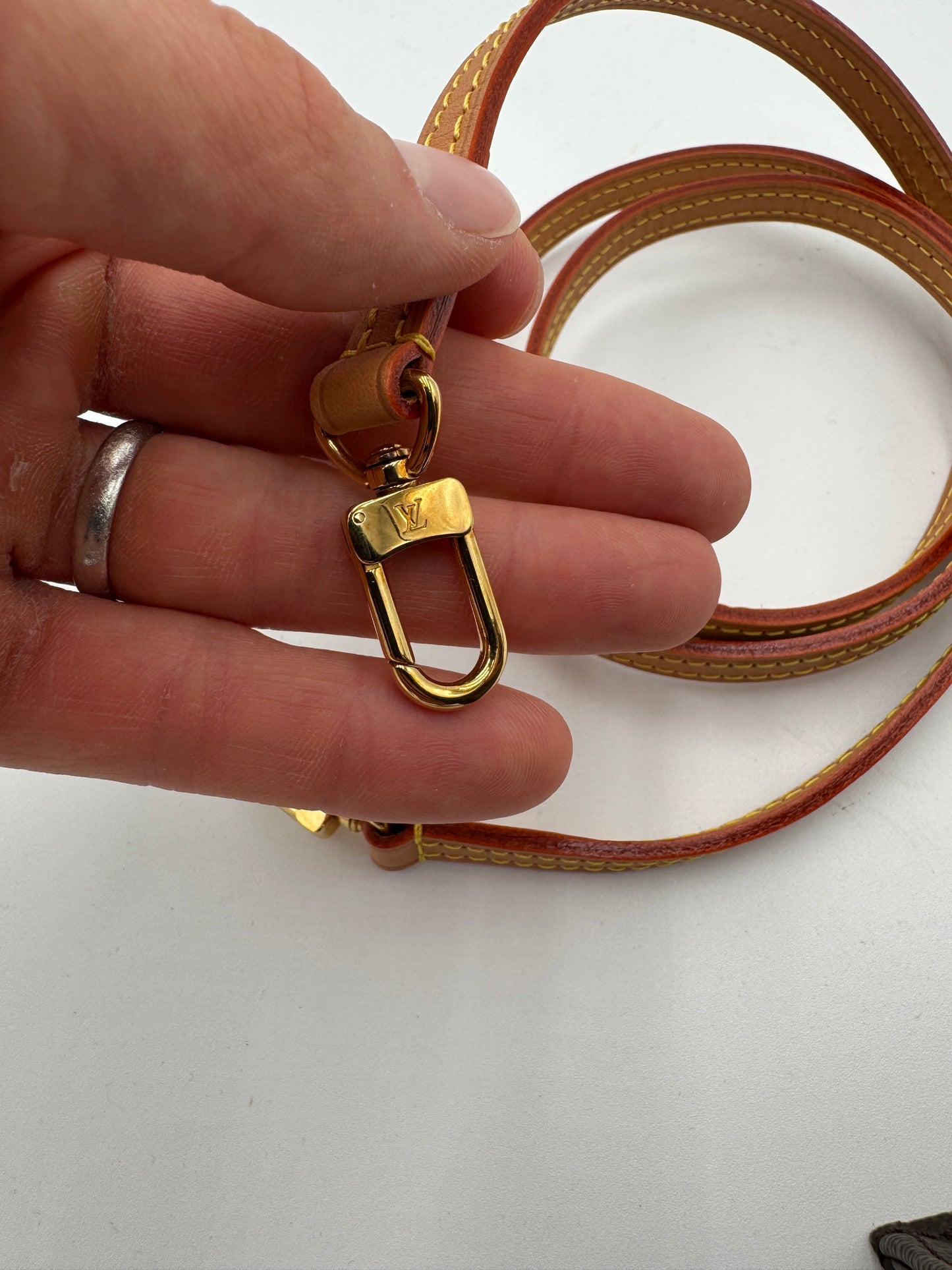Louis Vuitton Monogram Petit Sac Plat