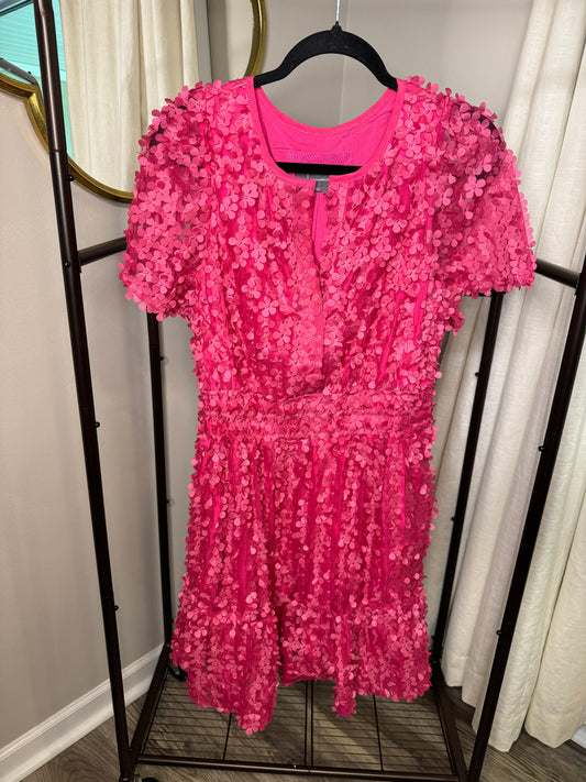 Anthropologie Mini Somerset Dress size L