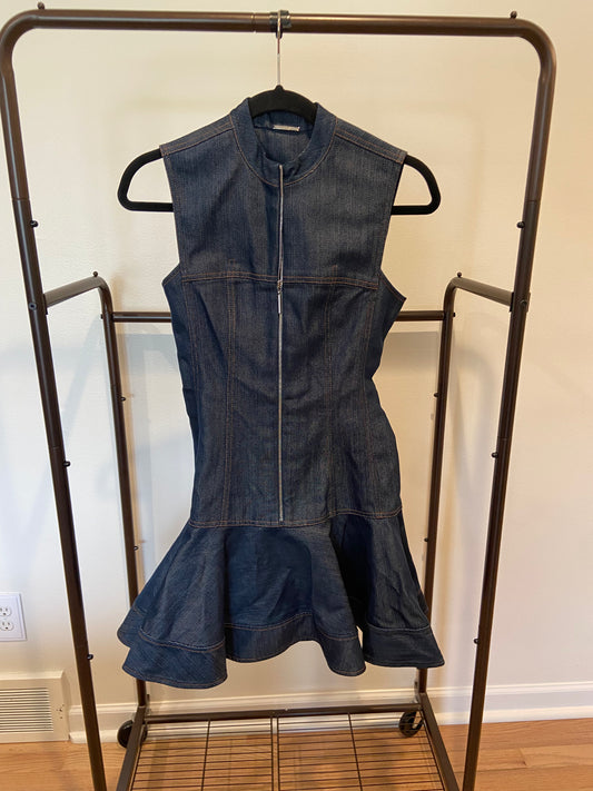 Alexis Taylin Front Zip Denim Dress size XS