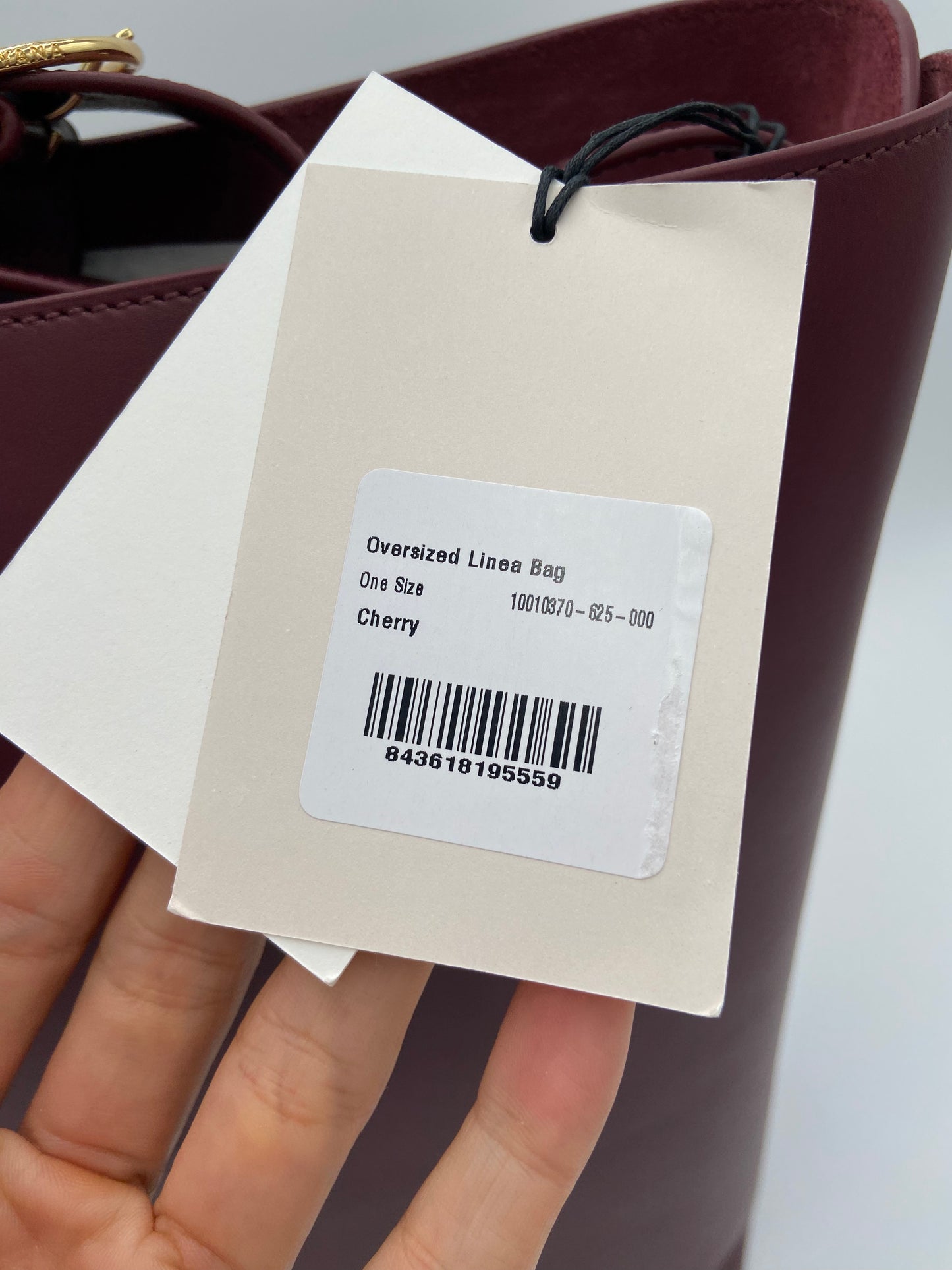 Cuyana Oversized Linea Tote Bag
