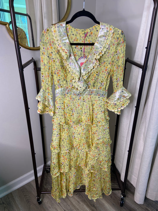 Celia B Malaya Ruffle Dress size XS