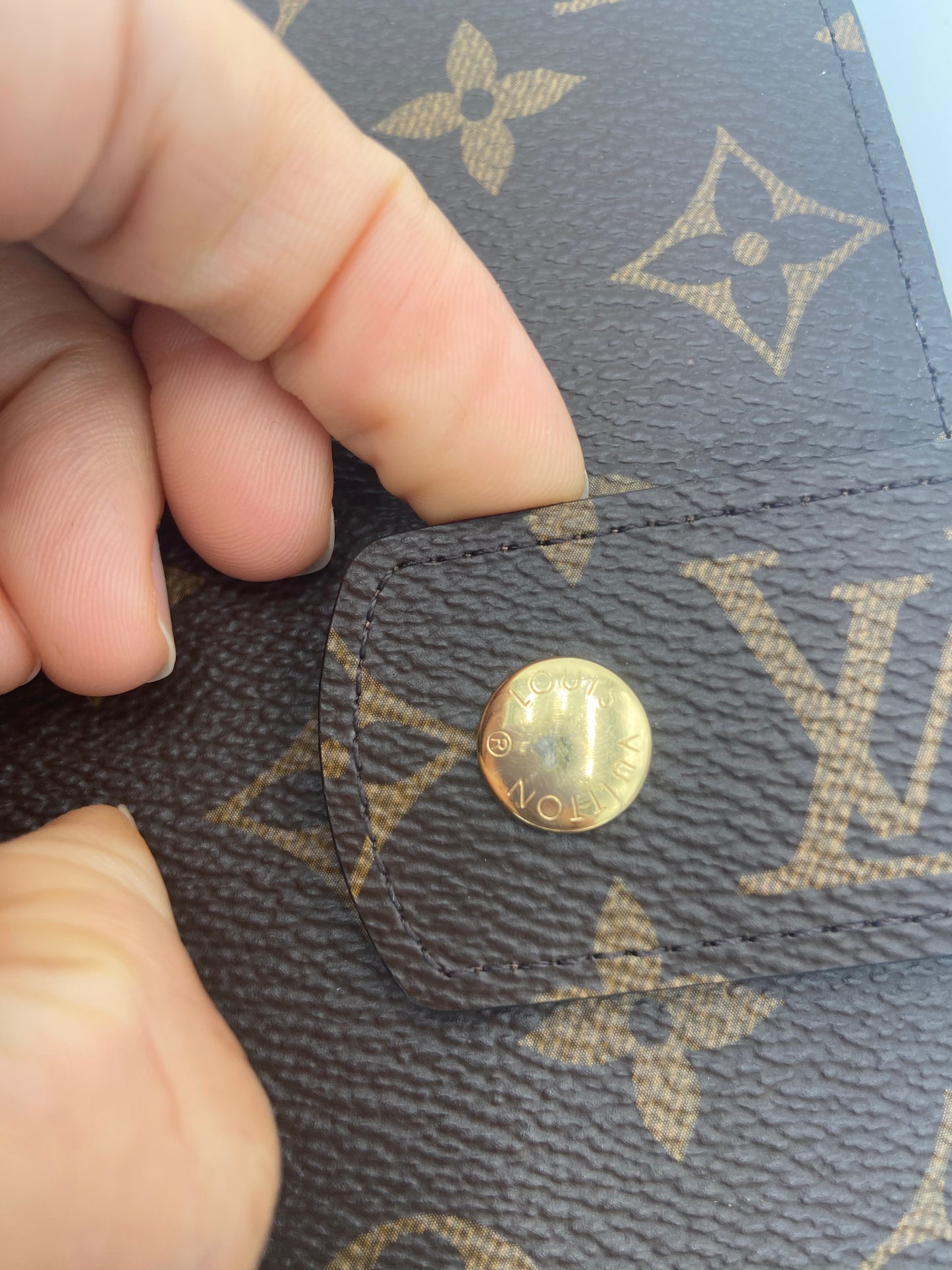 Louis Vuitton Large Ring Agenda Cover