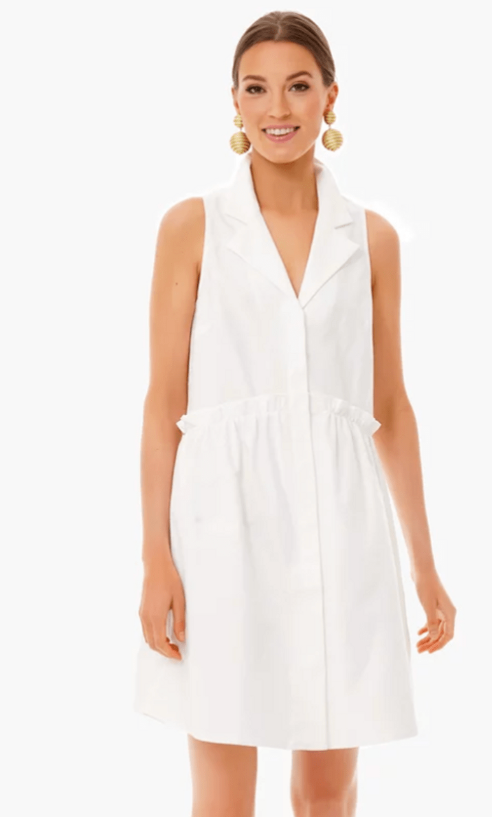 Tuckernuck Oxford White Sleeveless Royal Shirt Dress size L