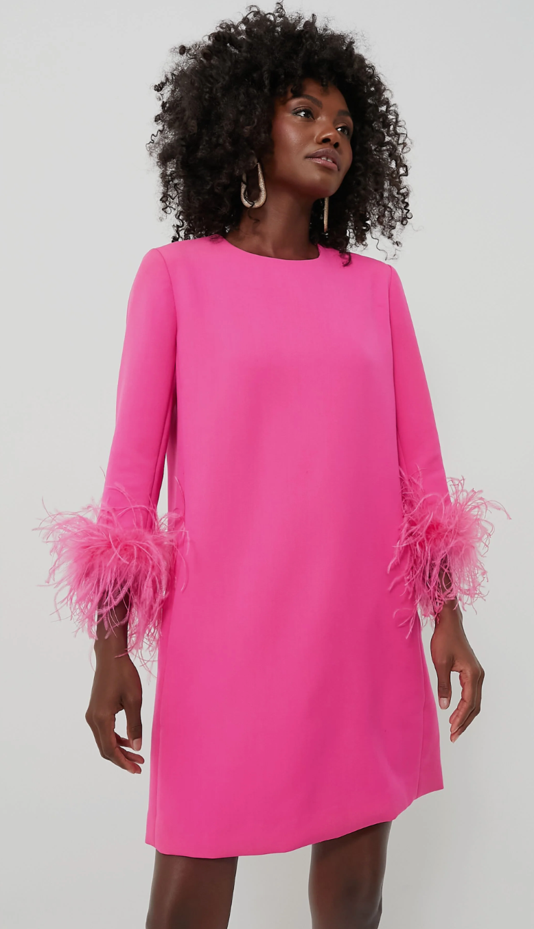 Tuckernuck Feather Mod Ellie Mini Dress size M