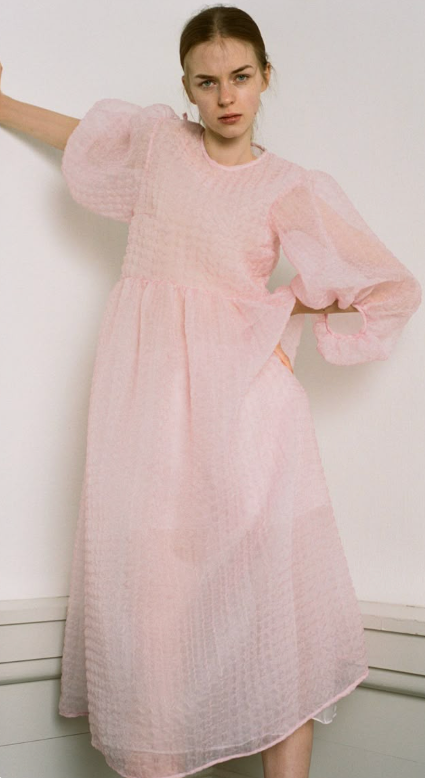 Cecilie Bahnsen Karmen Textured Silk-Blend Chiffon Midi Dress size US 4