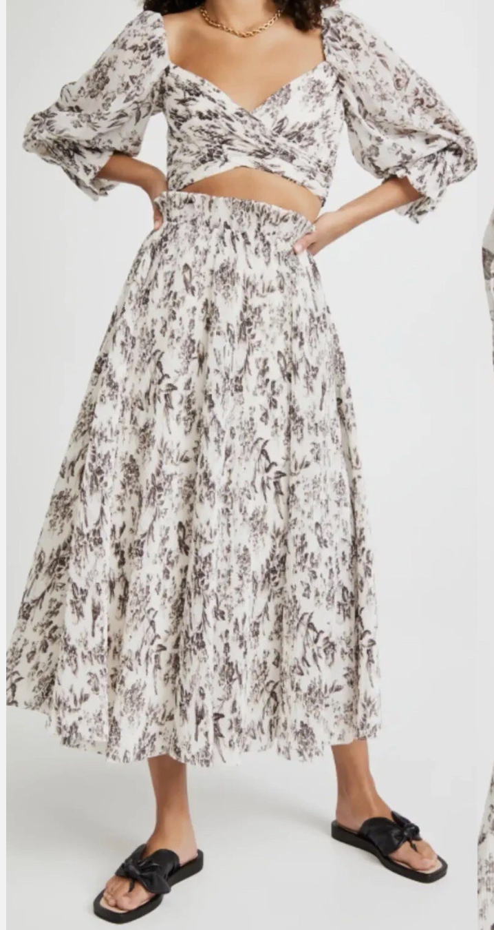 Zimmermann Bird Toile Pleated Cropped Top and Skirt Set size US 4