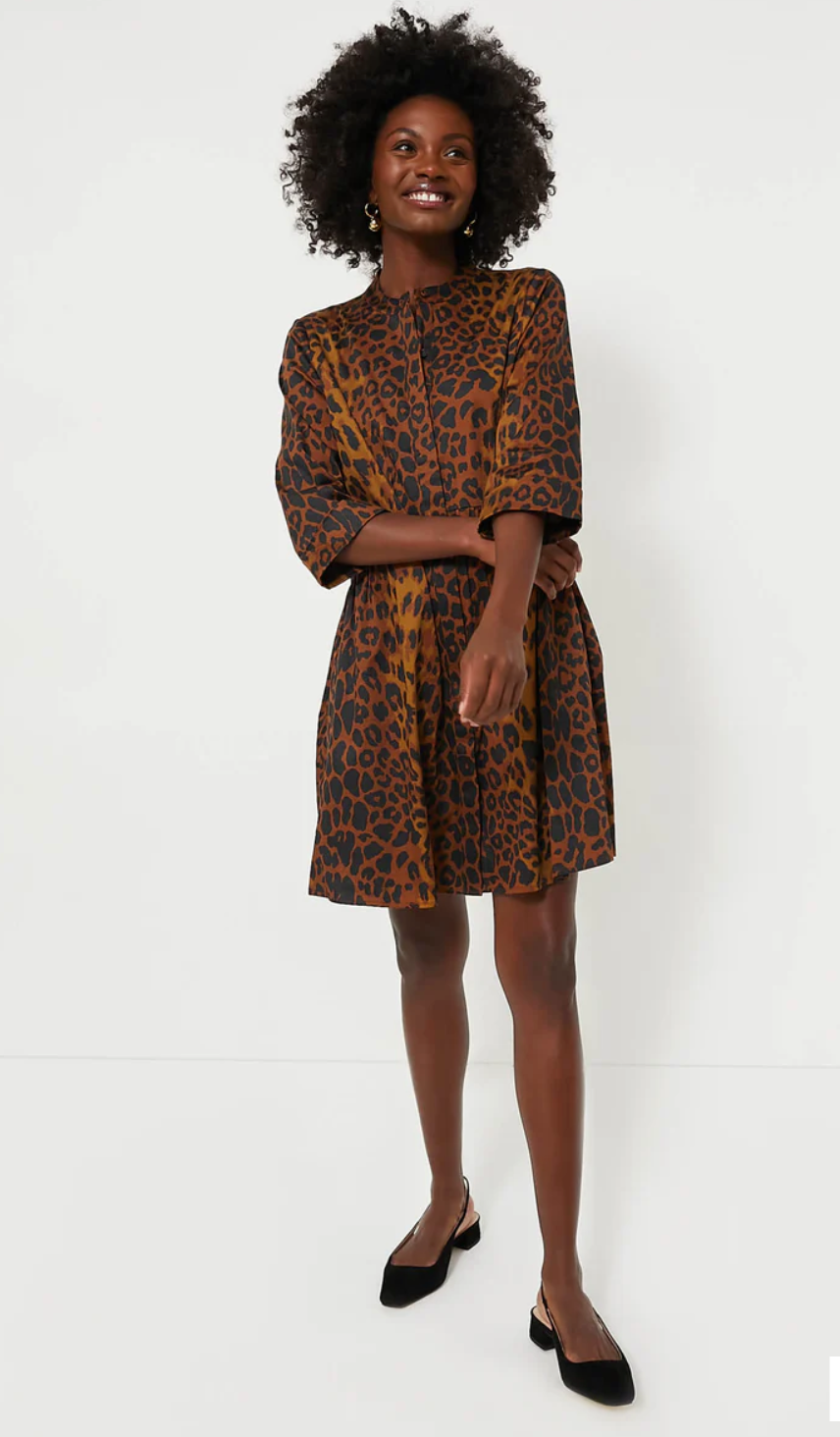 Tuckernuck Leopard Royal Shirt Dress size M