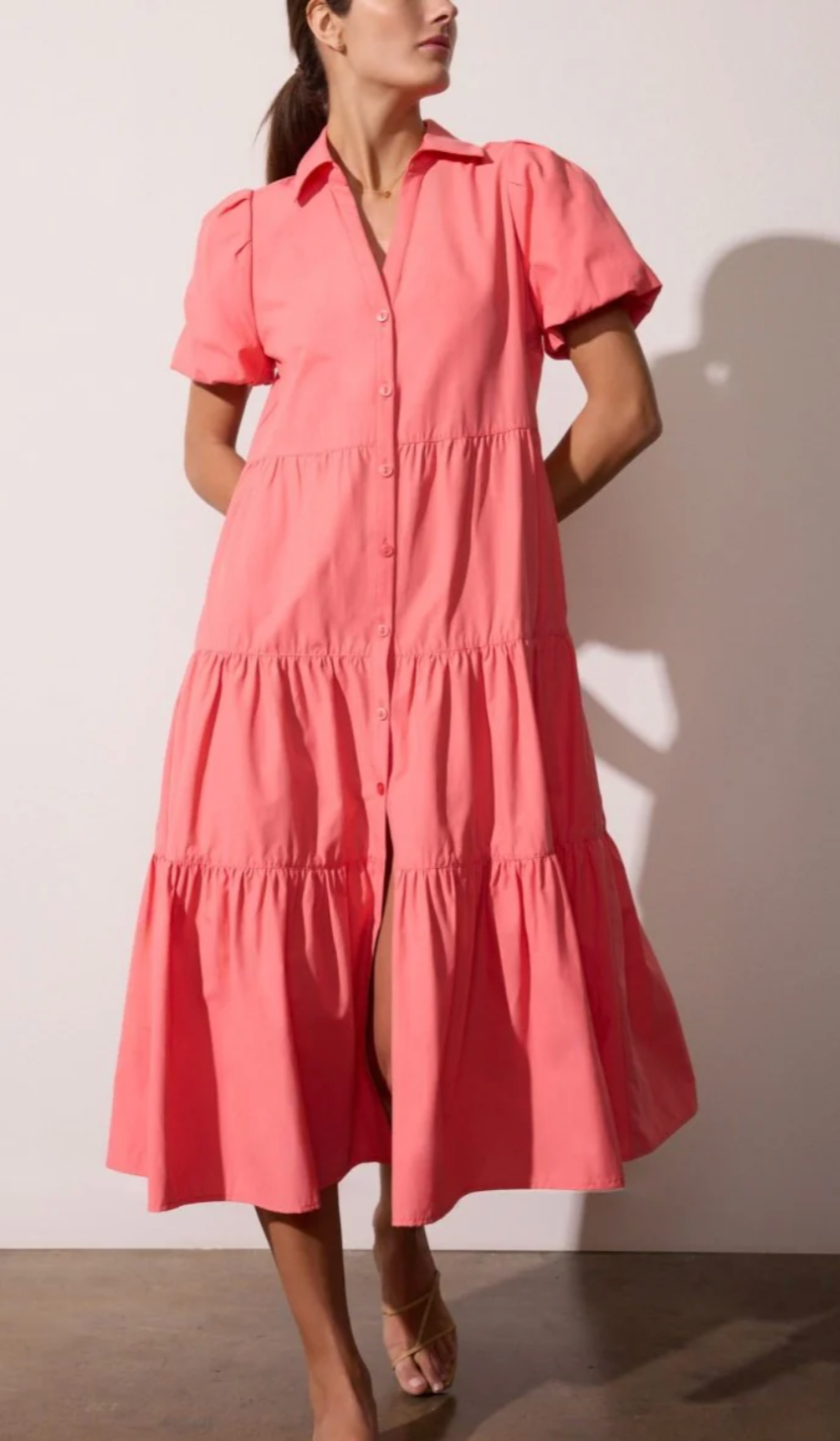 Brochu Walker Havana Dress size XS