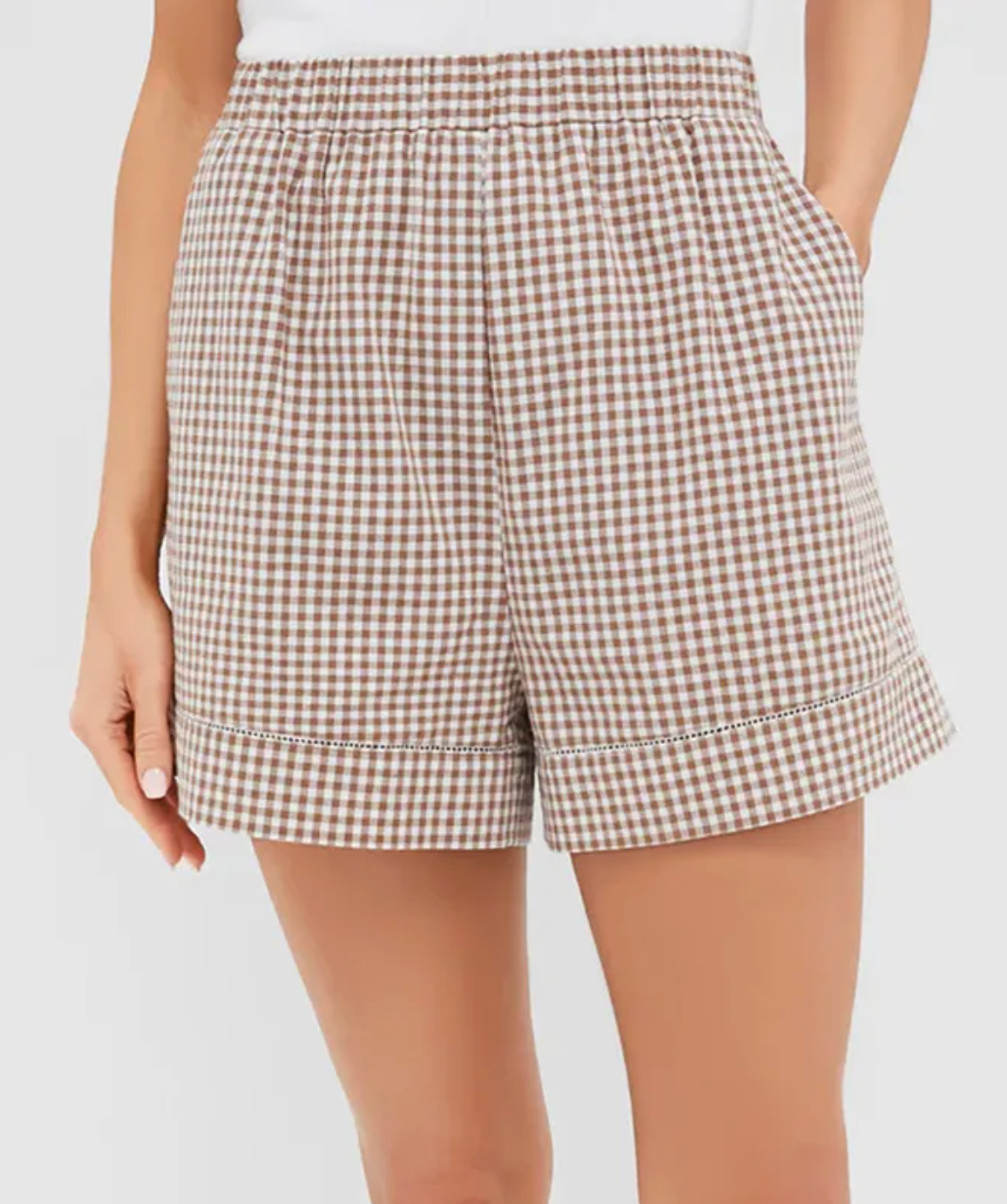 Tuckernuck Mocha Brown Cotton August Shorts size M