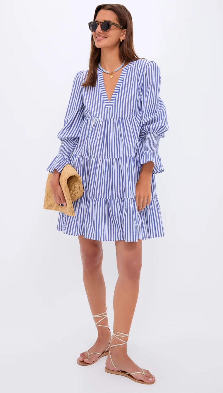 Pomander Place Blue Striped Embroidered Kenzo Dress size XS