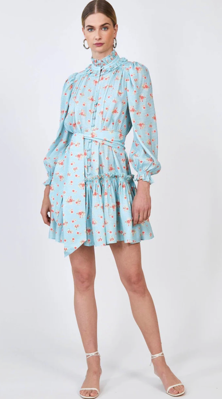 Hunter Bell Blakely Dress Blue Ikat Flower size XS