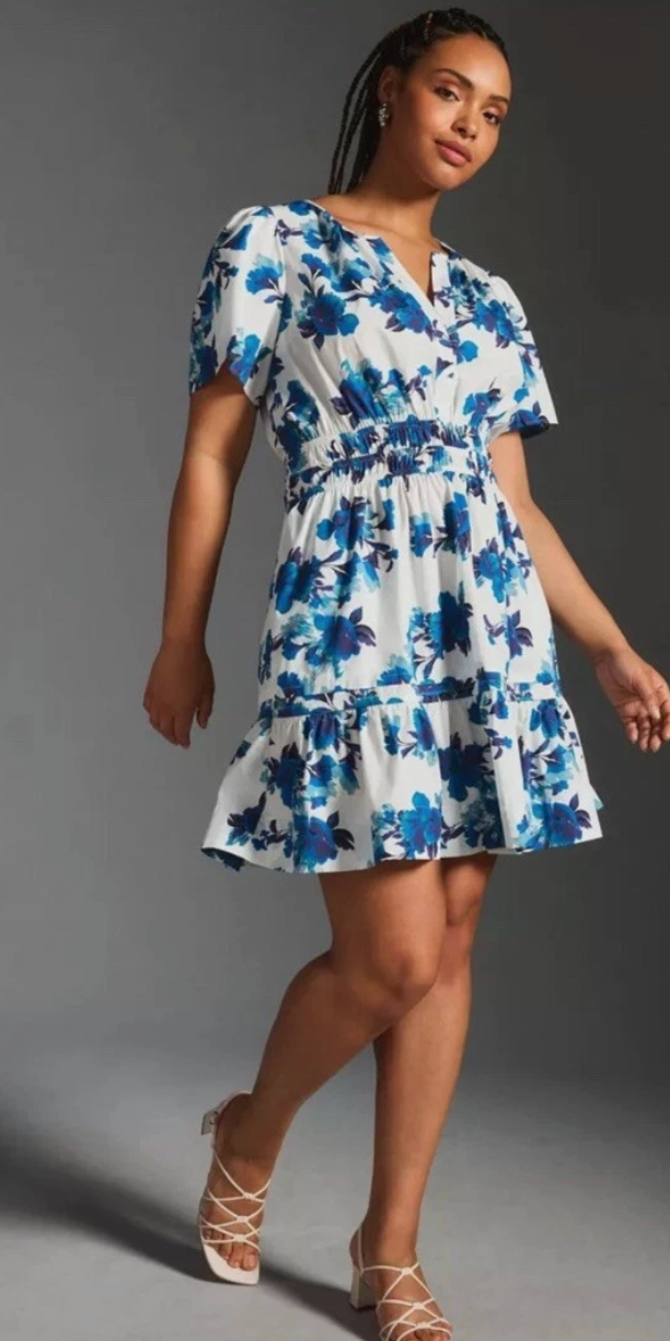 Anthropologie Somerset Mini Dress size L