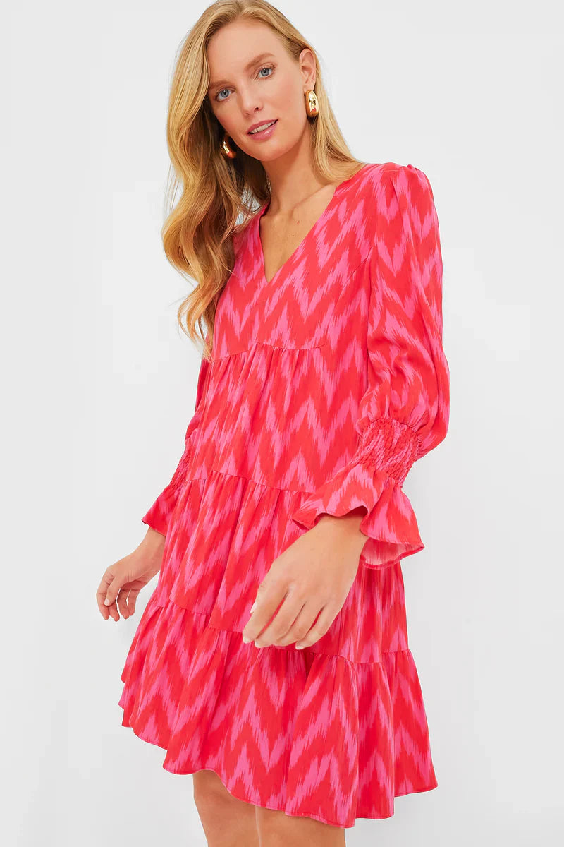 Pomander Place Hot Pink Ikat Kenzo Dress size S